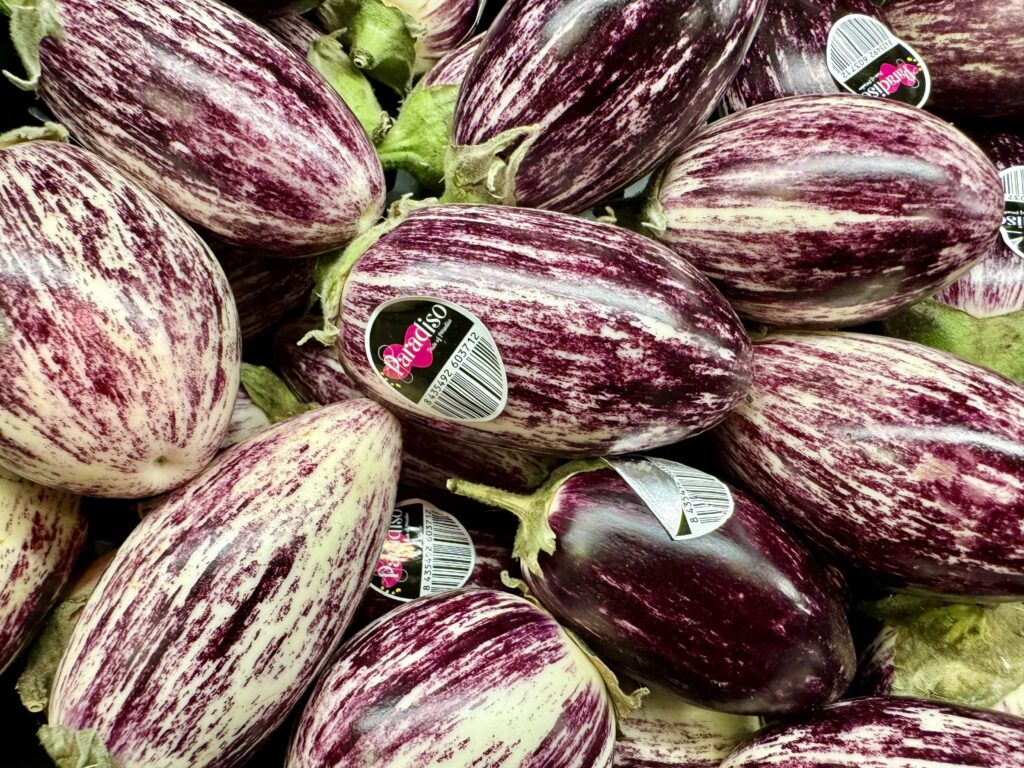 Zebra-Aubergineのイメージ