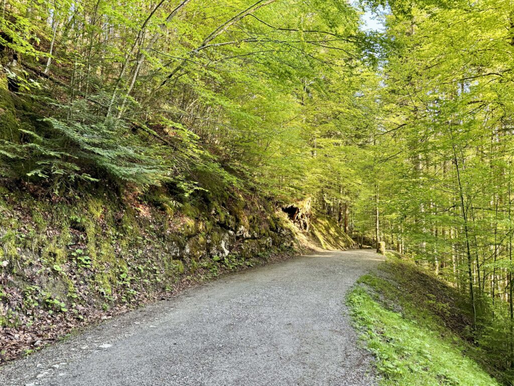 アイプゼー南岸の散策路：07:28 am