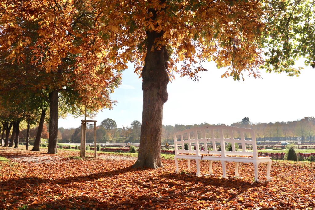 シュライスハイム宮殿群の庭園(秋)